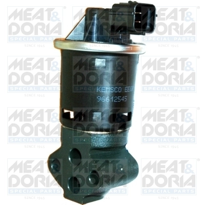 EGR Valve